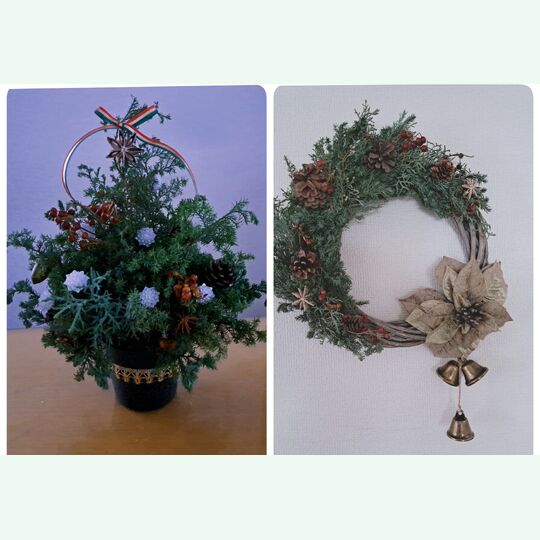 23-11-01-01-01-37-295_deco